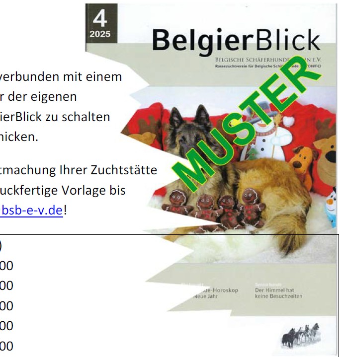 Jahresschluss 2025