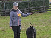 02 Grizzly von Canis Lupus Pallipes CAC Bester Rüde