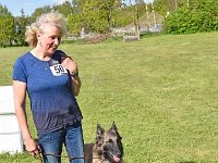 13 CAC-H Beste Hündin BOB TV Dala vom Leonberger Mühlbach