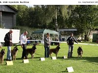 Ehrenring Bulo 120915 009