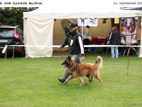 Impr Bulo 120915 020