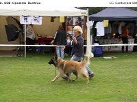 Impr Bulo 120915 021