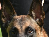 DSC 0090