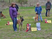 06c Bester Malinois Samson Salomon Vitris Bohemia