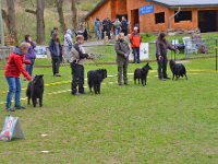 1. Platz ZG von Canis Lupus Pallipes (4)