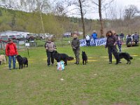 1. Platz ZG von Canis Lupus Pallipes (7)