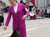 12 Achillia Ex Lupis Sagittariis 2