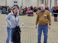 8 Highlander Mylo Von Canis Lupus Pallipes 4