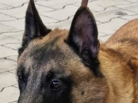 WhatsApp Image 2026-01-10 at 17.46.53