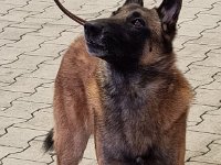 WhatsApp Image 2026-01-10 at 17.46.54 (11)