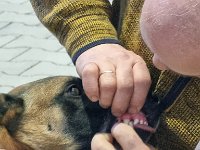 WhatsApp Image 2026-01-10 at 17.46.54 (2)