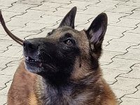 WhatsApp Image 2026-01-10 at 17.46.55