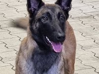 WhatsApp Image 2026-01-10 at 17.46.57 (8)