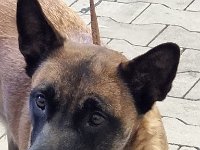 WhatsApp Image 2026-01-10 at 17.47.55 (5)