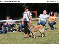 IMG 3429