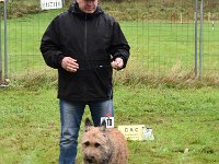 Sindecade Gilma (2)