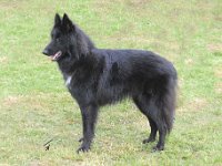 Mucius Harmony 2016 04 30 Bebra 71 ZwKV3 480 : 2016_04_30_Bebra