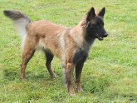 Multos Annos Uma 2016 04 30 Bebra 15 JKG 082 : 2016_04_30_Bebra