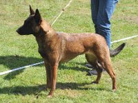Schnellen Fahnder Penila 2016 04 30 Bebra 44 ZKSG3 297 : 2016_04_30_Bebra