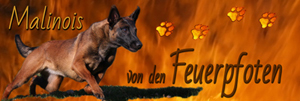 Homepage von den Feuerpfoten