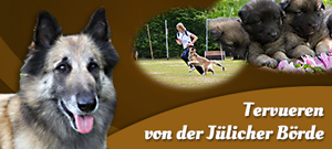 Homepage von der Jlicher Brde